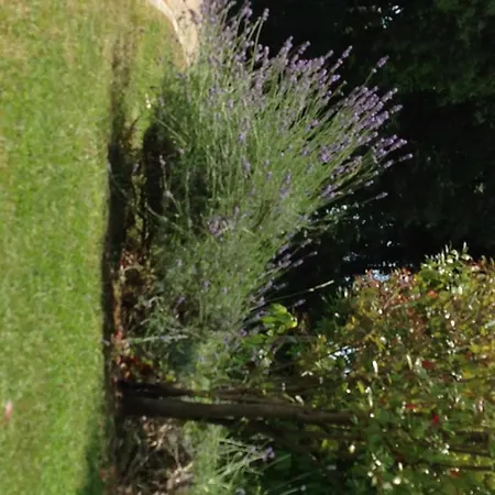 מלון דירות Casa Bianca