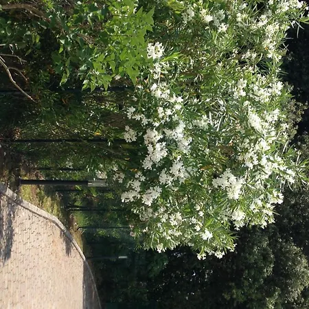 מלון דירות Casa Bianca *